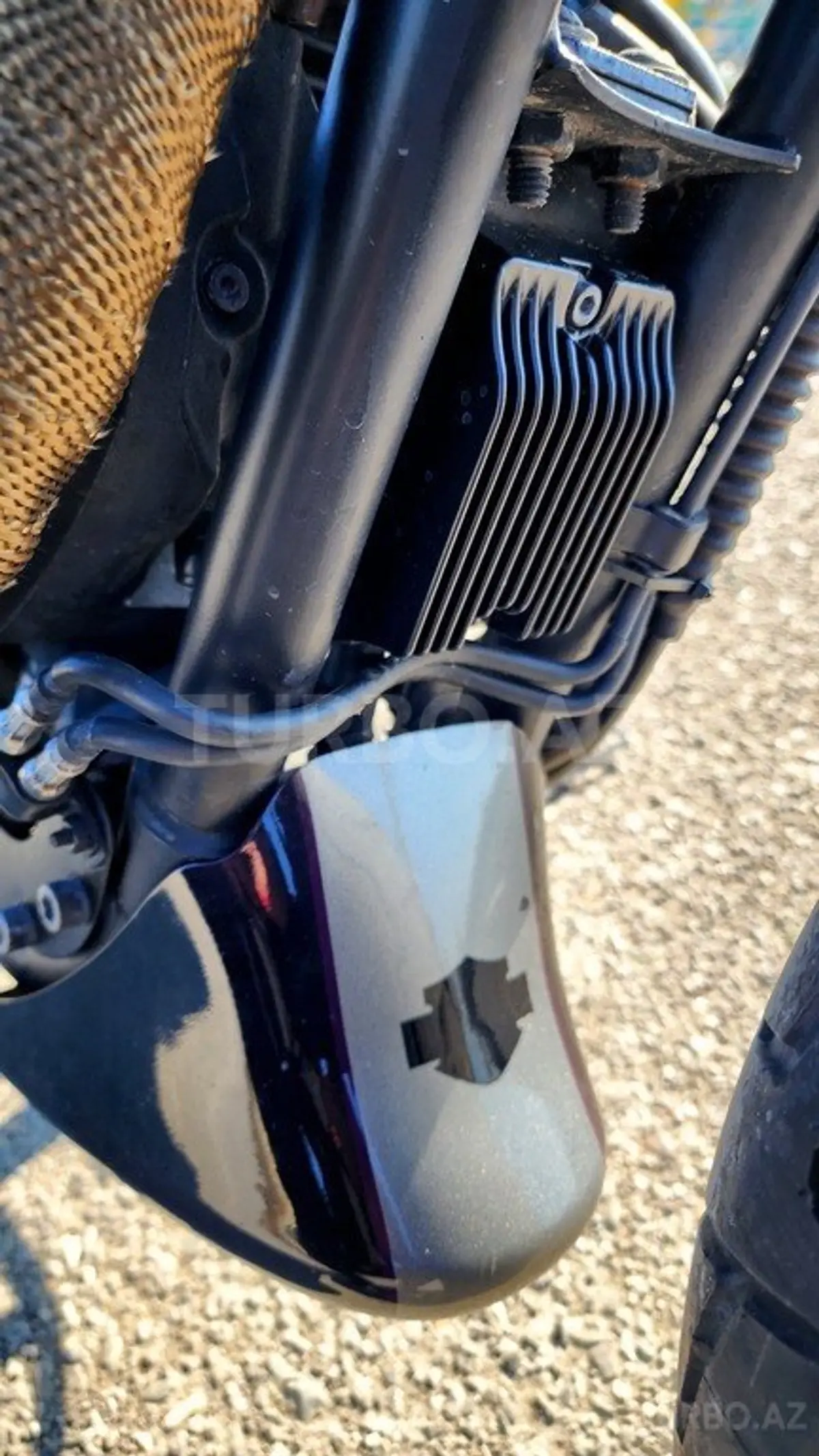 Harley Davidson Roadster — Bakı (8)
