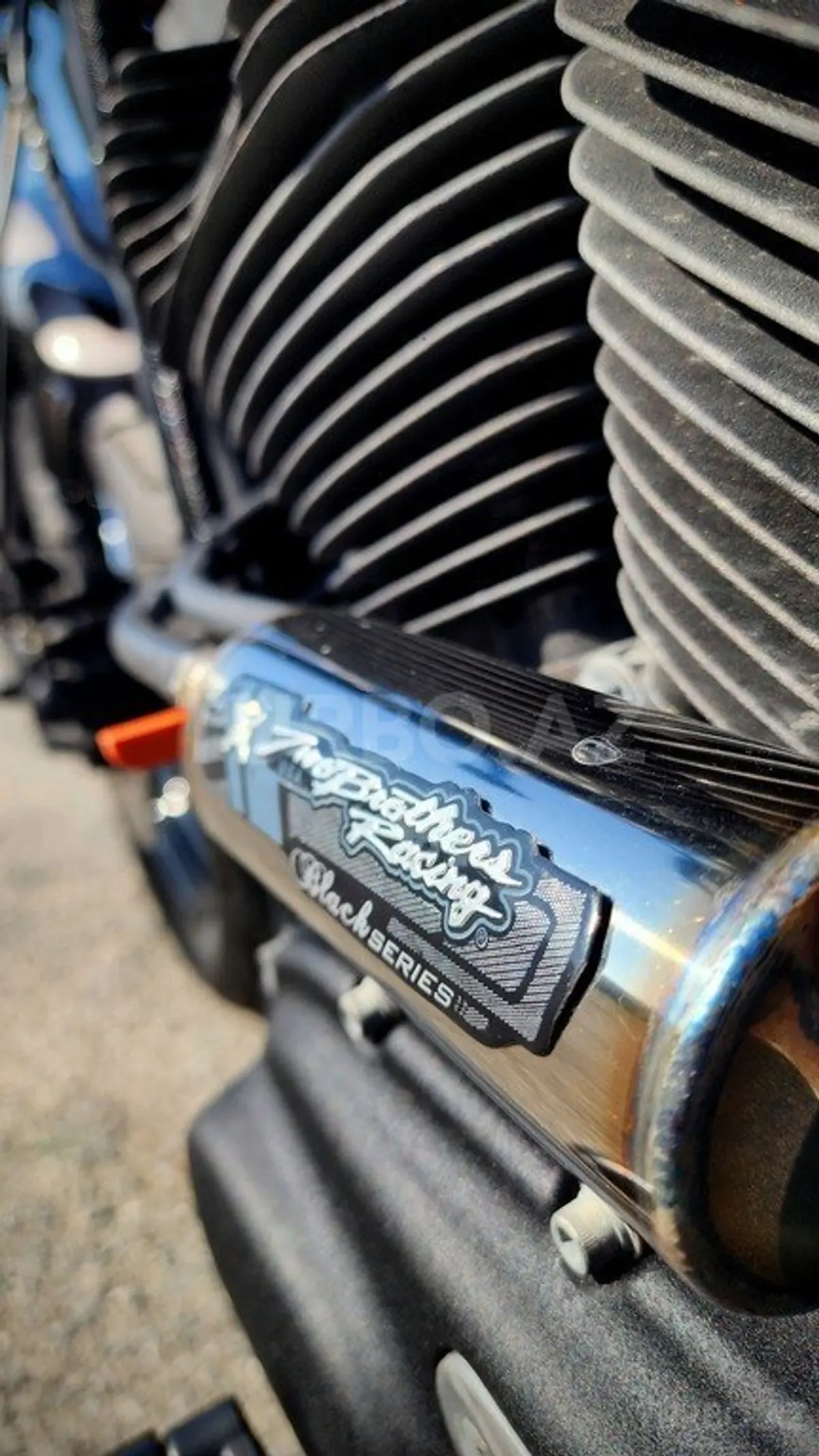 Harley Davidson Roadster — Bakı (7)