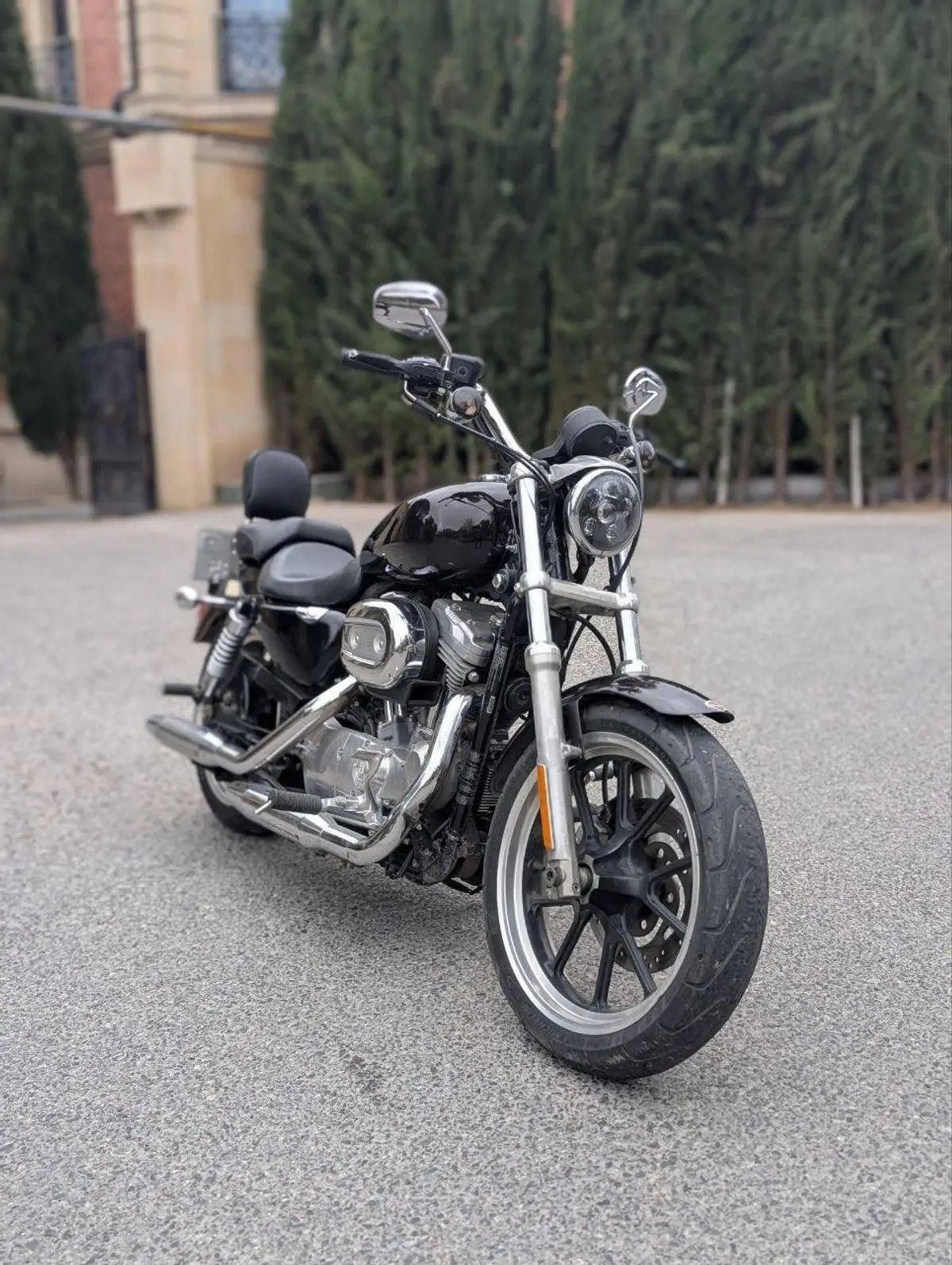 Harley Davidson Sportster SuperLow XL883L — Bakı (9)